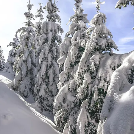 Sonnenbichl Schattwald