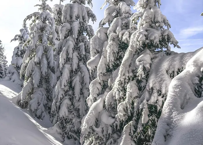 Sonnenbichl Apartamento *